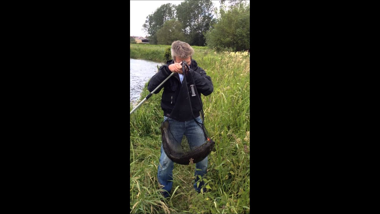 Big Seatrout catch in Karup Aa, 23th Juli 2015, 2