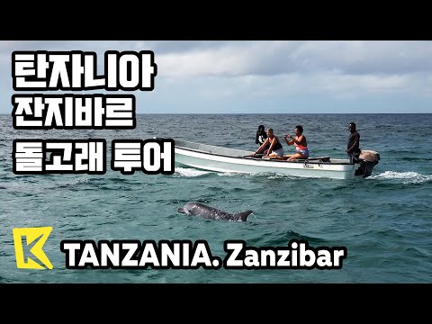 탄자니아 여행-잔지바르 [Tanzania Travel-Zanzibar] 키짐카지 해변, 돌고래 투어/Kizimkazi Beach/Dolphin Tour