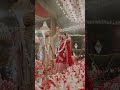 wedding special moments 🥰#new style jaymala#shorts#dance #indianwedding #kumaonibride #bollywoodsong