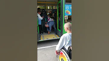 Сколько человек в день перевозит автобус