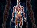 What Happens to Your Body When You Eat Fruit Every Day? #healthtips #shorts