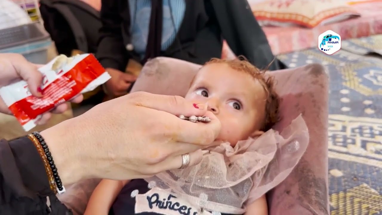 من يمسح دمعة أيتام ميرفت؟.. حكاية أرملة صارت 