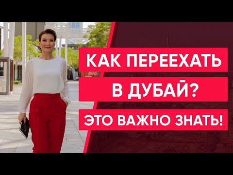 Video: United бардык каттамдарда кошумча байланыштарды көзөмөлдөөнү сунуштайт