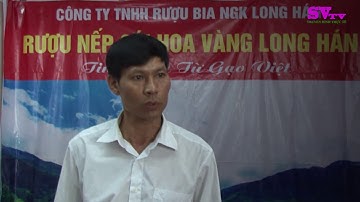 Rượu nếp cái hoa vàng Long Hán - Tinh hoa từ gạo Việt