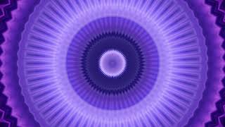 Duh Fuse - French Fuse