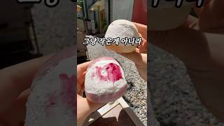 소식좌 대표 태연님 단골 베이글카페..?!