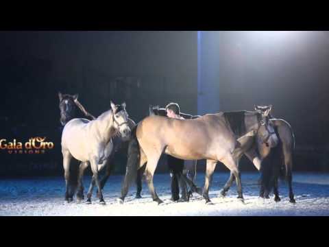 Video: Dietro Le Quinte Della Chirurgia Equina