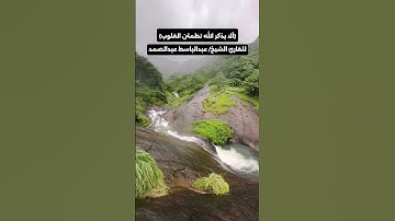 {ألا بذكر الله تطمئن القلوب} للقارئ الشيخ/ عبدالباسط عبدالصمد