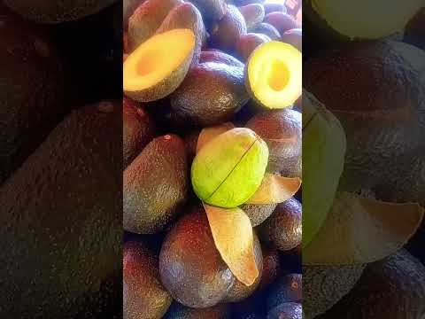 TIANGUIS DE MI COLONIA. #ecologista #horadelplaneta #sonidoriginal