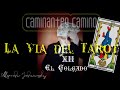 La Via del Tarot. A. Jodorowsky y M. Costa. XII El Colgado. (Audiolibro-Voz Humana)