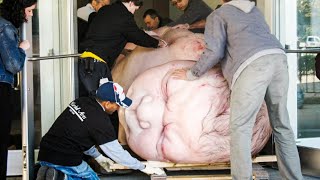 видео: САМЫЕ ЖУТКИЕ ВЫСТАВКИ В ИСТОРИИ картинка: САМЫЕ ЖУТКИЕ ВЫСТАВКИ В ИСТОРИИ