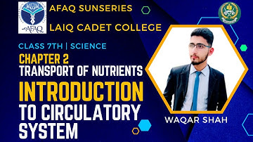Class 7 Science | Chapter 2 Transport of Nutrients | Afaq Sunseries | #science  #afaqsunseries
