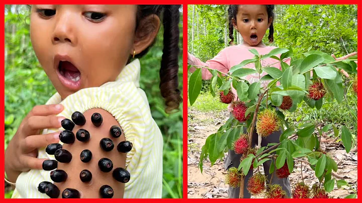 Survival Skills: Simple but very Useful in forest #bushcraft #camping #outdoor