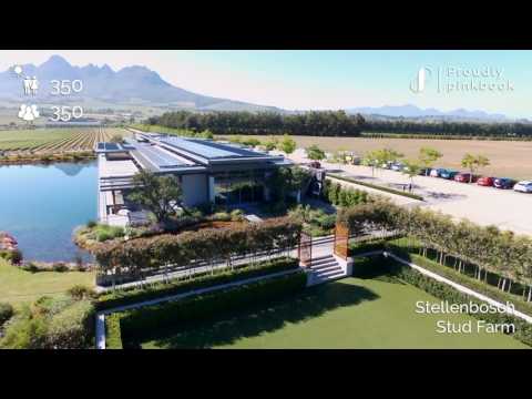 pink-book-wedding-venue---cavalli-wine-&-stud-estate,-stellenbosch