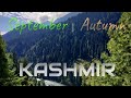 Kashmir on September 2021 | Season in Aru valley &amp; Srinagar |  Sunset at Dal lake | Wild Lens VIII