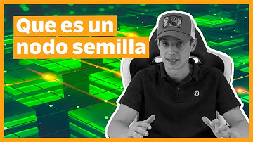 🔥 ¿Qué es un nodo semilla? 🔥 Te contamos de qué trata y cuáles son las diferencias entre nodos.