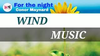 Conor Maynard - For the night | Lyrical Music Video | Wind Music