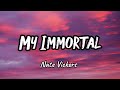 Nate Vickers My Immortal Lyrics Nate Vickers My Immortal Lyrics