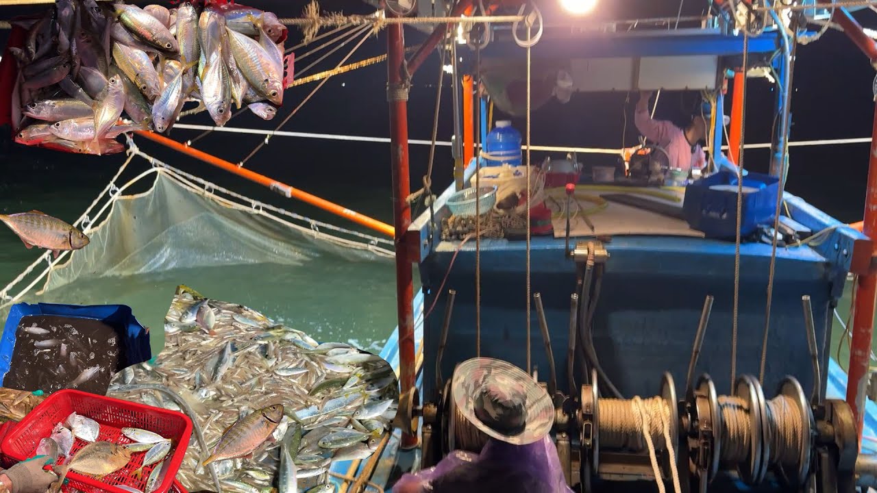 Cuộc Sống Thật Của Ngư Dân,12 Tiếng Đồng Hồ Trên Biển Với Mành Chụp Mini Bắt Cá Mực - Dân Biển