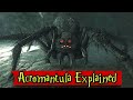 Acromantula Origin, History, Habitation, Reproduction,  Explained