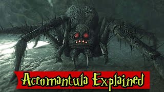 Acromantula Origin, History, Habitation, Reproduction,  Explained