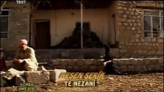 Hesen Şerif Te Nezanî