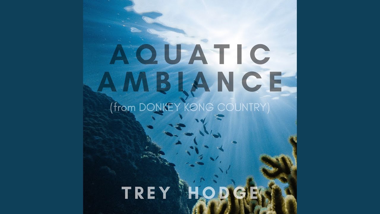 Aquatic Ambiance (From "Donkey Kong Country") - YouTube Music