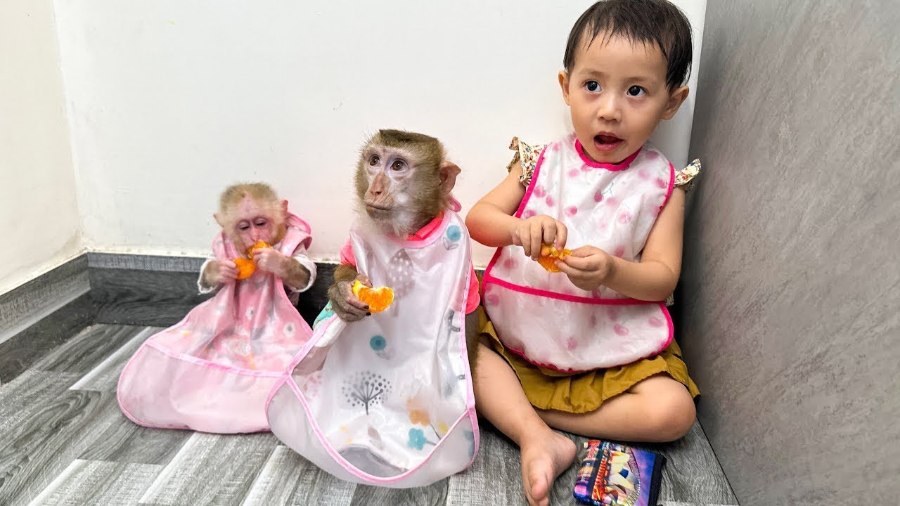 Diem and Monkey Kaka and Mit ate delicious snacks together