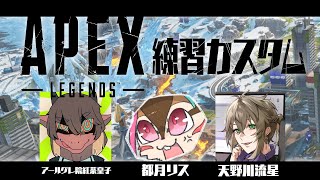 【APEX】練習カスタムリス視点【配信】