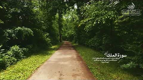 حالات واتس اب قران كريم بصوت يريح القلب ❣ سوره الملك|حالات واتس اب ❤
