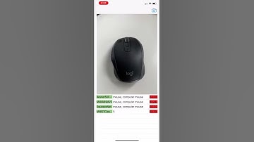 Image Classifier Tester using Apple Core ML Framework