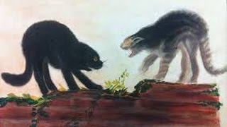 Коты дурачатся Коты дурачатся