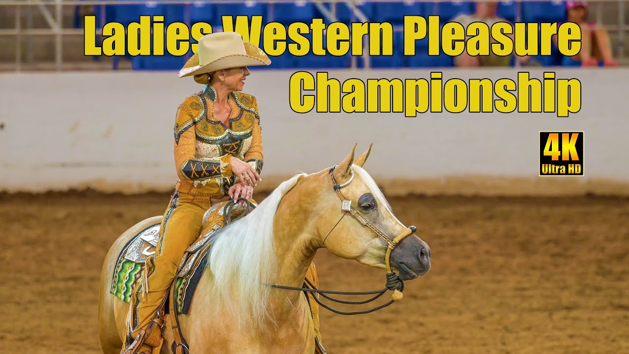Half Arabian Horse Ladies Western Pleasure Championship