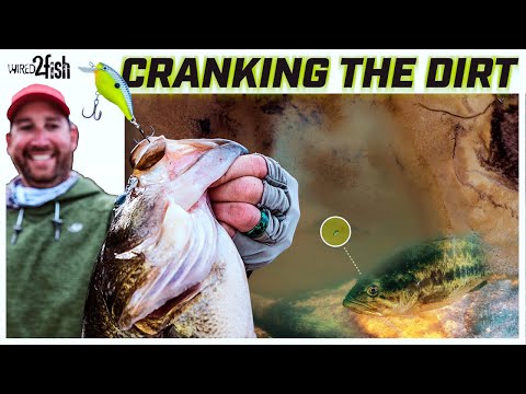 Spring Bass Fishing: Dialing In On The Dirt For Big Catches! 