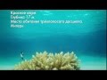 Интернет-Банк Prior Online - Мы есть везде, где есть интернет. 4
