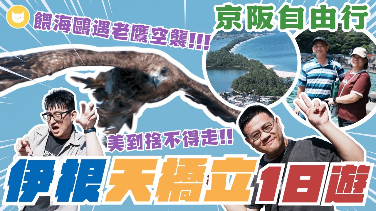 日本必去三景？京都隱藏版景點！朝聖伊根舟屋、天橋立　餵海鷗竟被老鷹「空襲」？！搭上夢幻纜車美景盡收眼底～玩到不想回家啦【凱文喵式會社】 