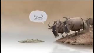 Real QA Dev Discussion