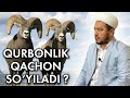 Shukurulloh Domla | Qurbonlik ehsoningizga mani chaqirmang