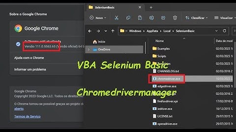 VBA Selenium Basic - WebdriverManager - Chromedriver