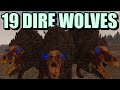 19 Dire Wolves