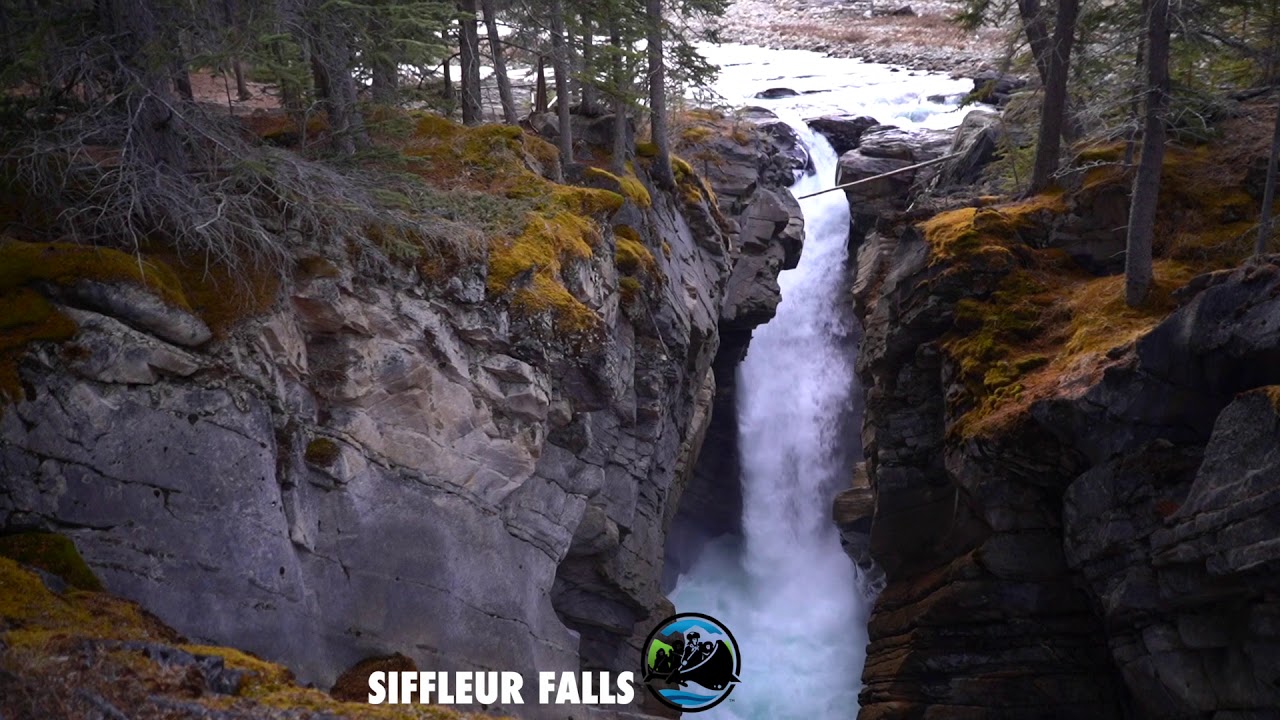 Siffleur Falls Trail in David Thompson Country, Alberta, Canada YouTube