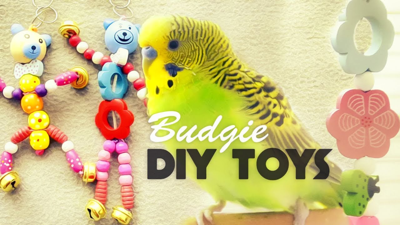 How To Make Budgie Toys Diy