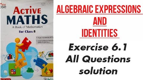 Algebraic Expressions and Identities class 8 maths solution by Rohit sir  Book Active Maths