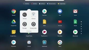 How to install AlsaMixer with Crostini
