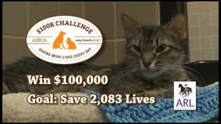 Mediacom Commercial - ASPCA Rachel Ray 100K Challenge