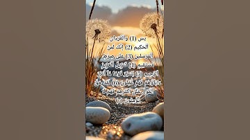 #سورة_يس #المصحف #اكسبلور #تيك_توك