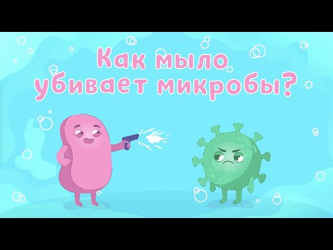 Как мыло убивает микробы?