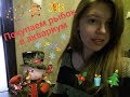 Покупаем рыбок в аквариум | VLOG