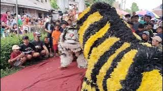 Singo Blambangan ~Ramajaya Manunggal Budoyo || Benculuk