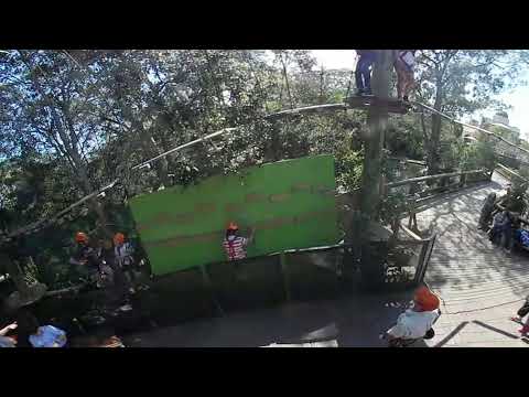 Wild Ropes Toronga Wild Ropes Taronga Zoo(1) - YouTube